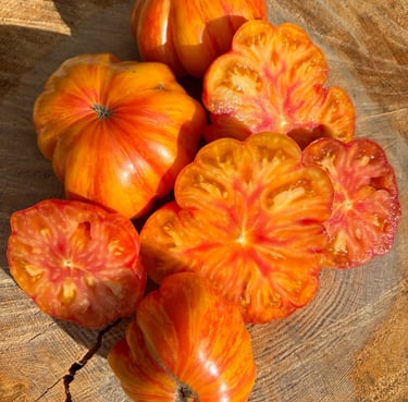 Mushroom Basket Striped - A unique and rare variation of the mushroom basket variety.