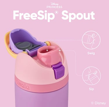 Disney Princess Themed Owala Water Bottle