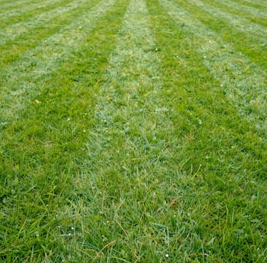 white car crossing body of water