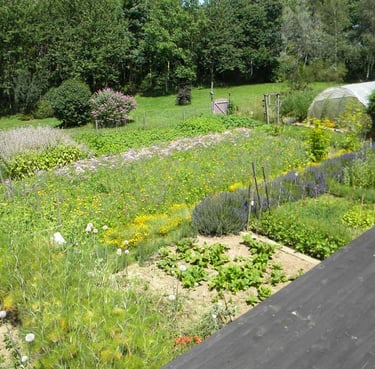 micro perma culture jardin naturopathe naturel Pause Ô Logis Mayenne Coêvrons