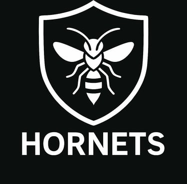 hornet icon