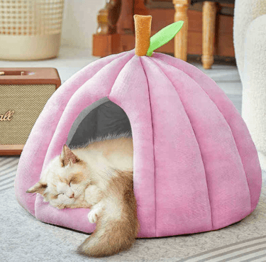 Cat Hut