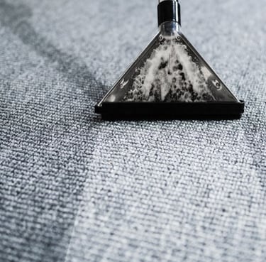 eden prairie mn carpet cleaner