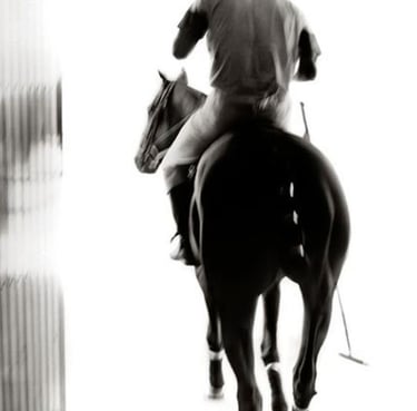 Exclusive high class escort Rotterdam–VIP escort, high end escort agency and luxury escort service  