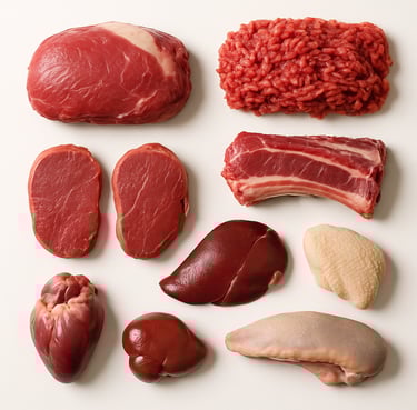 Halal camel meat cuts prepared for frozen and bulk export from Pakistan