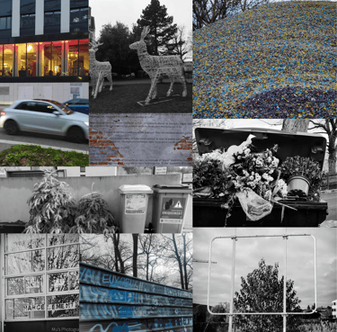 Exposition photo absurdité du monde stupidity photography