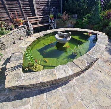 Garden ponds restoration and pond clean