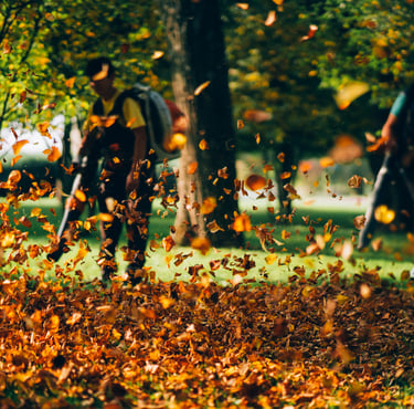 men blowing leaves in residential yard