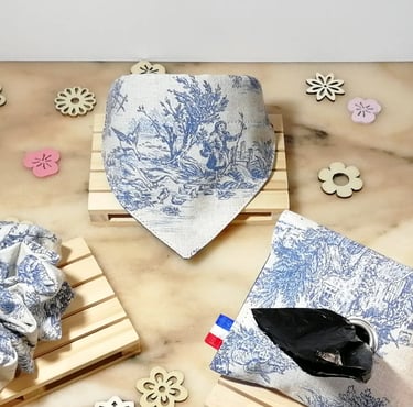 Accessoires pour chien en toile de Jouy