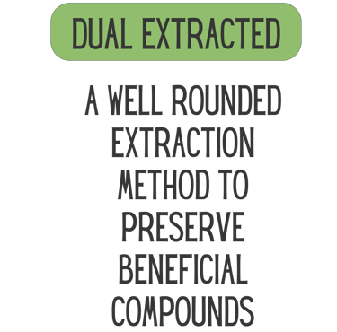 Mane Brain™ offers premium mushroom-based wellness products designed to support focus, memory,.