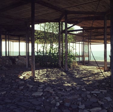Estructura abandonada con columnas metálicas y vegetación entre escombros, iluminada al fondo.