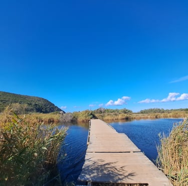 a wooden bridge over a river with a blue sky in ostriconi beach, Corsica