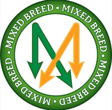 mixed breed sign green and yellow arrows
