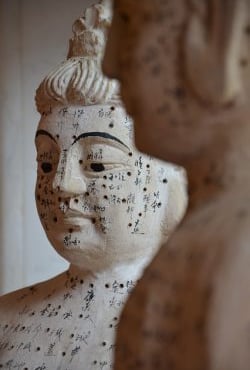 shiatsu et médecine chinoise ancestrale de la méthode MOKA, Alain Mestrallet