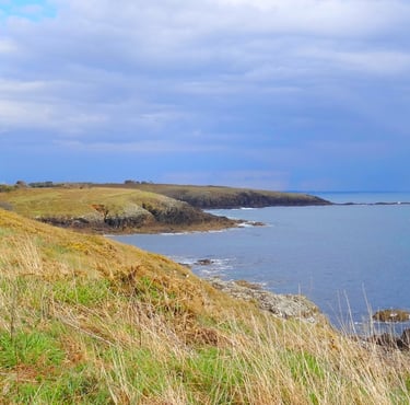 Lande seche littorale et pelouse aerohaline en bord de mer en Bretagne