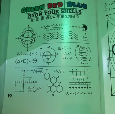 Super Nintendo World - Know Your Shells (and Double-check Your Math)