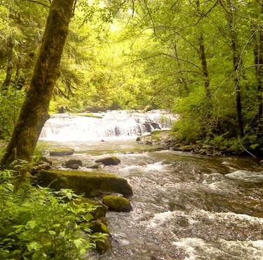 Oregon Coast - The trail follows the creek up to Sweet Creek Falls