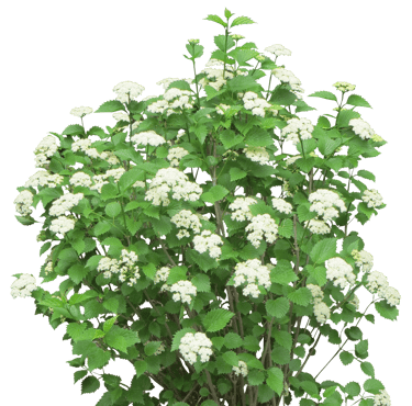 Académie Laé par Pierre Laé : cours particuliers pour enfants et ados, stages toute l'année et ressources pédagogiques