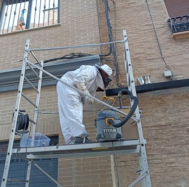 Retirada de abejas
