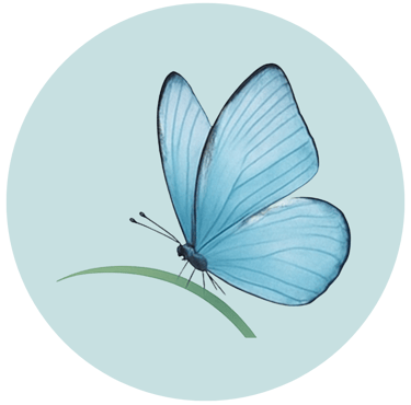 Meditation for Change blue morpho butterfly icon image.