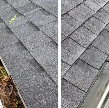 Gutter Cleaning