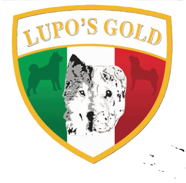 cuccioli sharpei campania