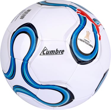 Bola Puma Cumbre Conmebol Libertadores Ms Branco