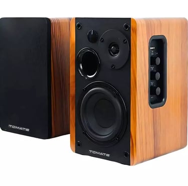 Monitor De Áudio Bluetooth 100W RMS Com Controle Remoto