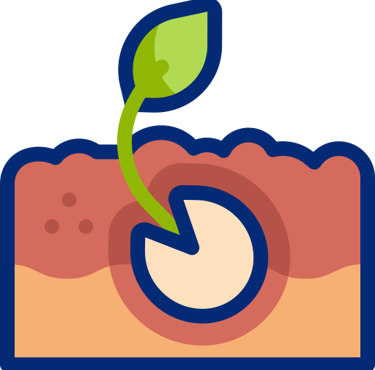 growing seed
