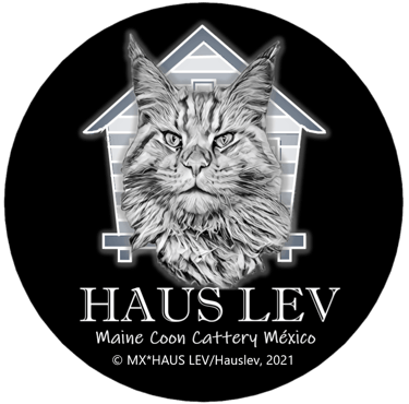 Logo Haus Lev Maine Coon Copyright México