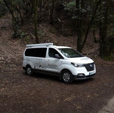 Hyundai Starex H1. En ruta por Tenerife