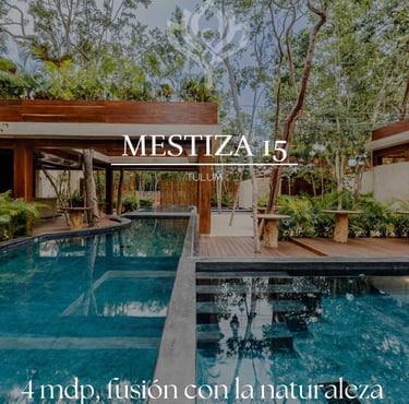 mestiza 15 tulum, real estate investment mexico, tulum investment properties, beach view
