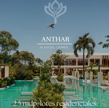 lotes en venta playa del carmen, terrenos en venta playa del carmen, land por sale playa del carmen
