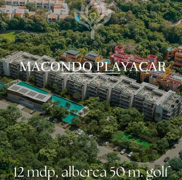 macondo playa del carmen, macondo corazon, macondo playacar, playacar