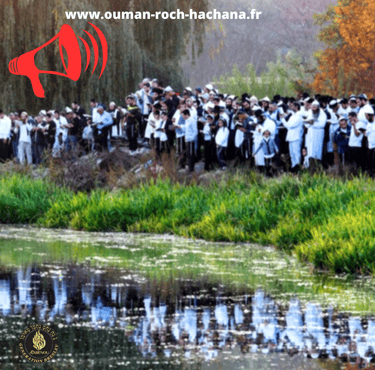 OUMAN ROCH HACHANA GENERATION BRESLEV
