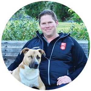 Chris Dodd - Revive Builder
