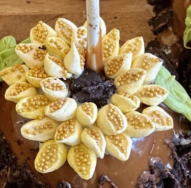 Gourmet Sunflower Caramel Apple