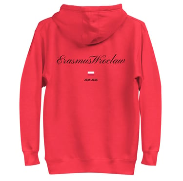 Camiseta oversize Wroclaw colores claros