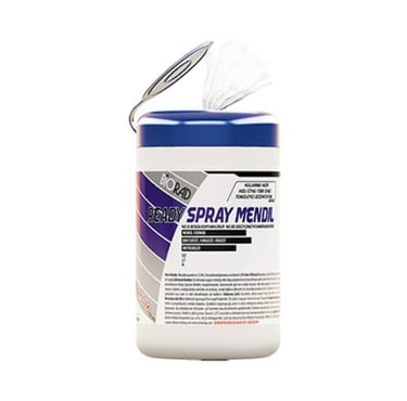 Ready Spray Antiseptic Wipes