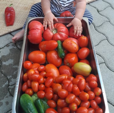 Gemüseernte, gesunde Ernährung für Kinder