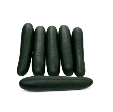 Pepino