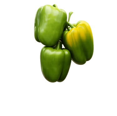 Pimiento