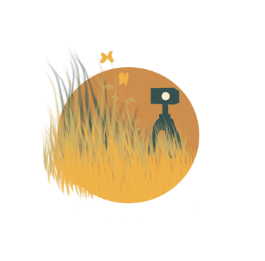 contenu photo, contenu vidéo, montage et scénarisation