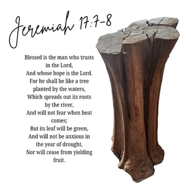 This is the tree that God brought to Pastor Keith and Keturah, and the Bible Verse Jeremiah 17:7-8