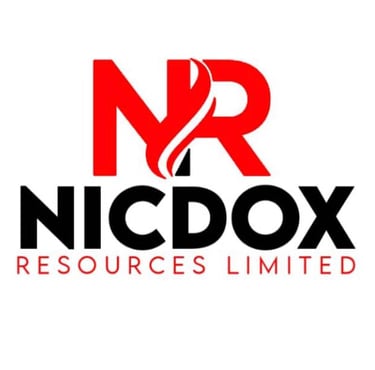 a logo for a company called nicdox