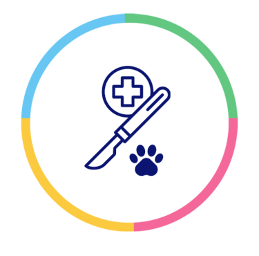 Cirurgia veterinária