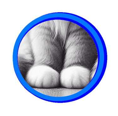 Relatif à la robe d'un chat colourpoint qui a les extrémités des pattes plus ou moins blanches.