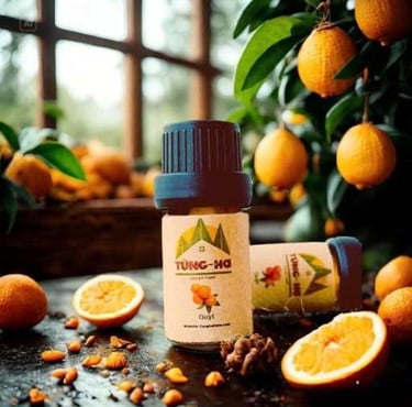 tinh dầu quýt Tùng Hạ, Tangerine Essential Oil, 柑橘精油"