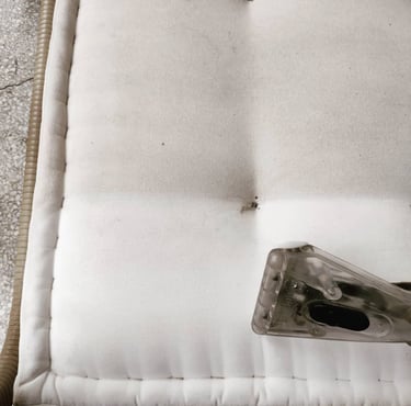 Image of Refresh Property Services after an upholstery cleaning in san antonio, TX. 