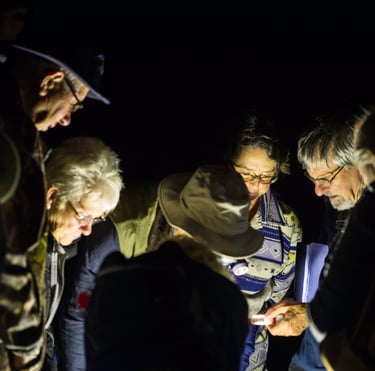 Identifying moths